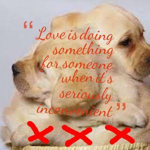love-is-puppies